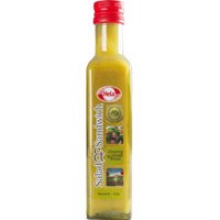 Hela Salad& sandwich mosterd dille dressing   250ml